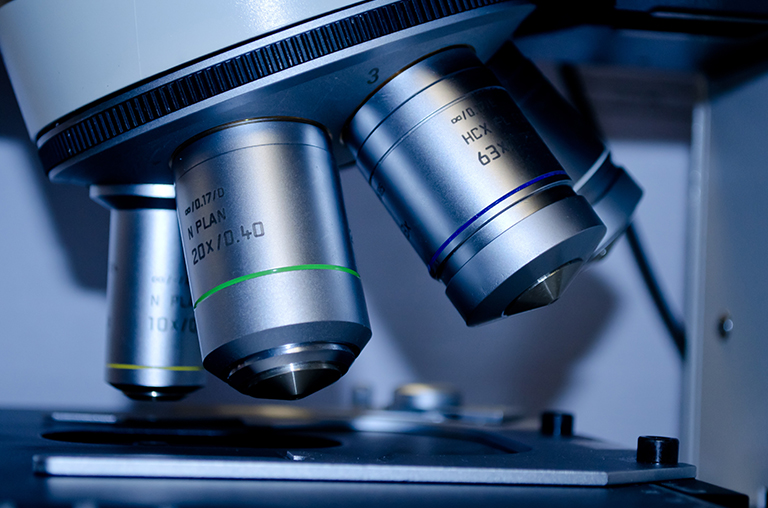 SUBJECT OF LEGAL LAWYER CATEGORY