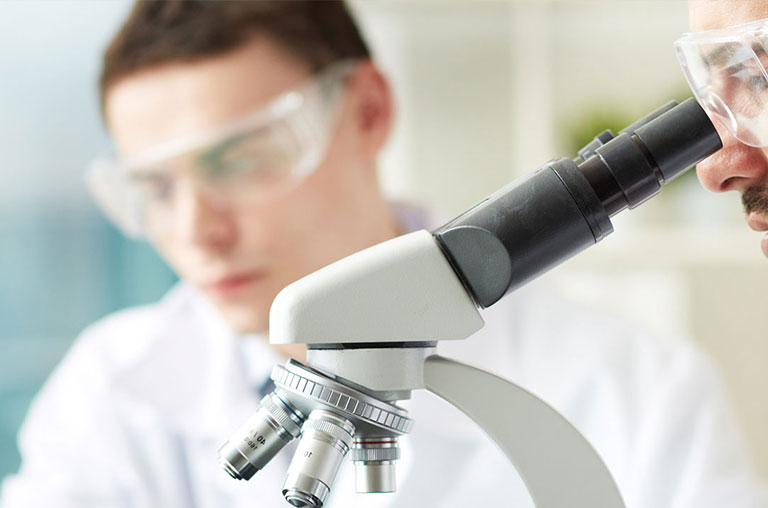 SUBJECT OF LEGAL LAWYER CATEGORY