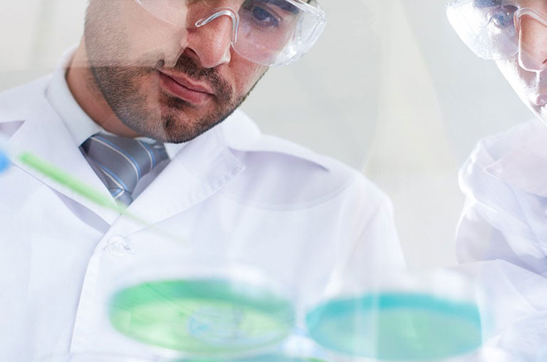 SUBJECT OF LEGAL LAWYER CATEGORY